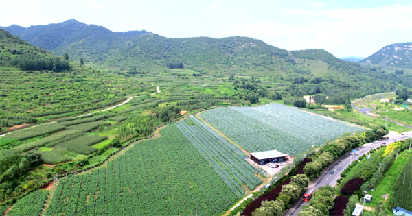 山东果宝鲜生智慧农业发展有限公司智慧农业示范基地建设项目.png