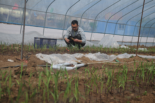 微信图片_20260326151008_57_153