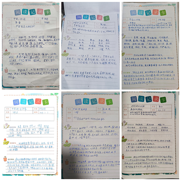 图片3
